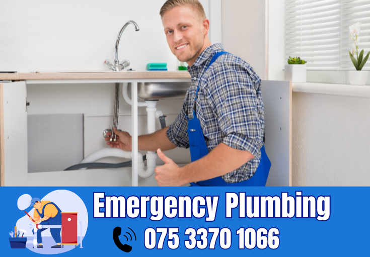  plumber Larkfield