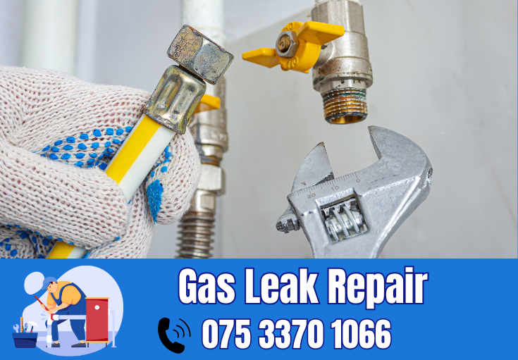 gas leak repair Kings Hill 