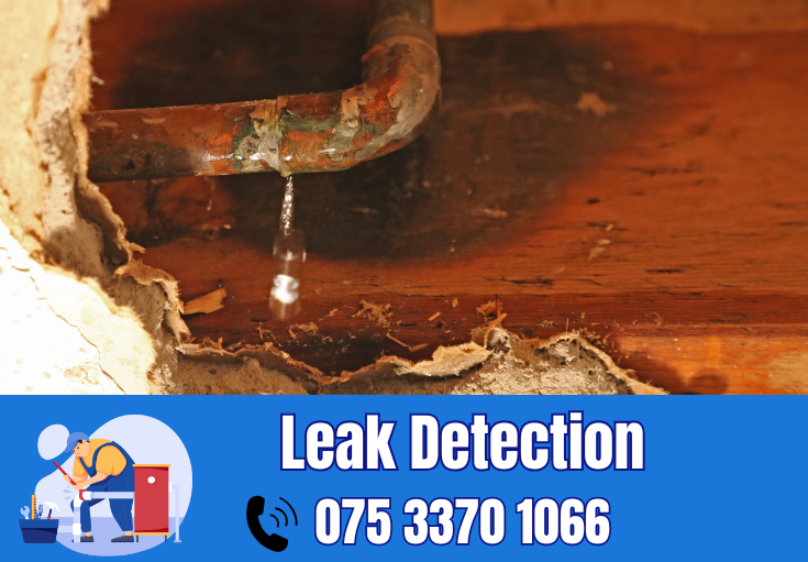 leak detection Kings Hill 