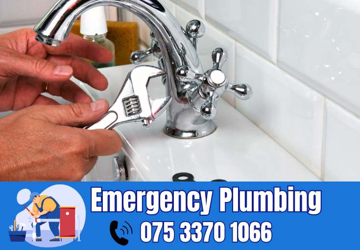  plumber Leybourne