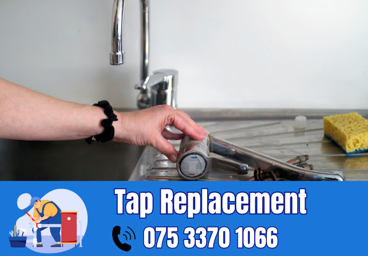 tap repair and replacement Kings Hill 