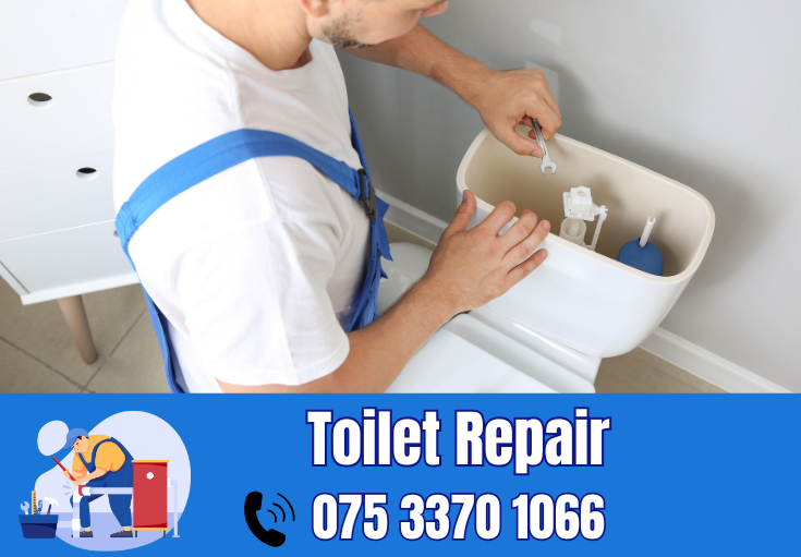 toilet repair Kings Hill 